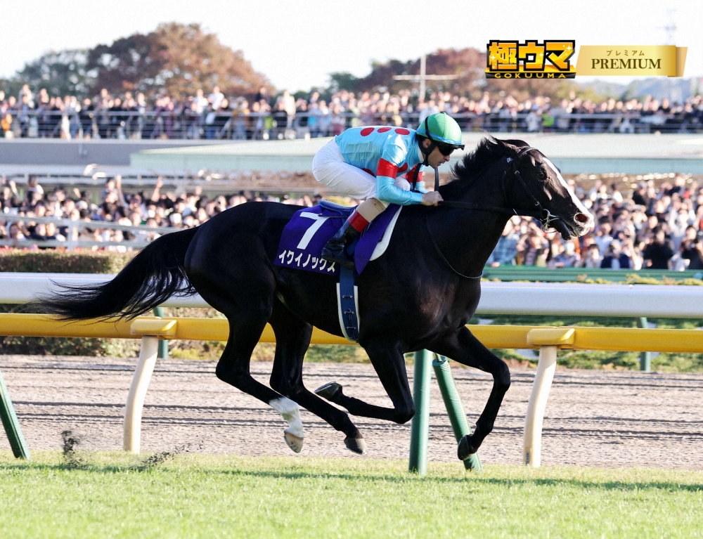 新極ウマ・プレミアム