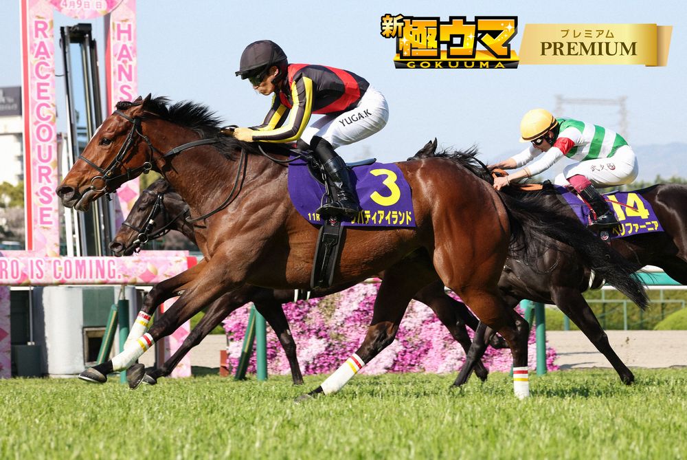 日刊スポーツの競馬情報サイトがパワーアップ：新極ウマ・プレミアム