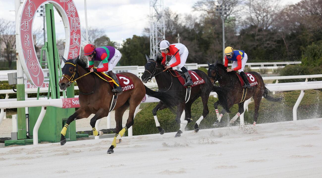 25年兵庫女王盃を制したテンカジョウ