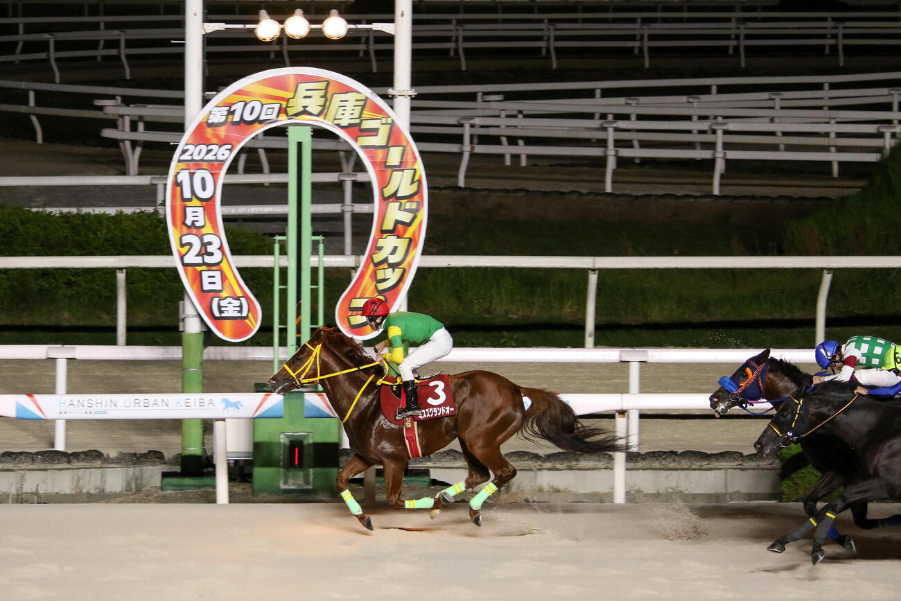 兵庫ゴールドCを制した高知のミスズグランドオー（兵庫県競馬組合提供）